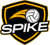 Lions Sports